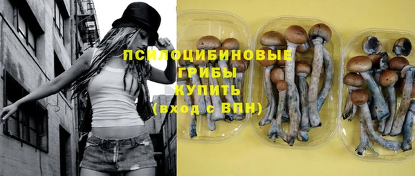 гидропоника Абдулино