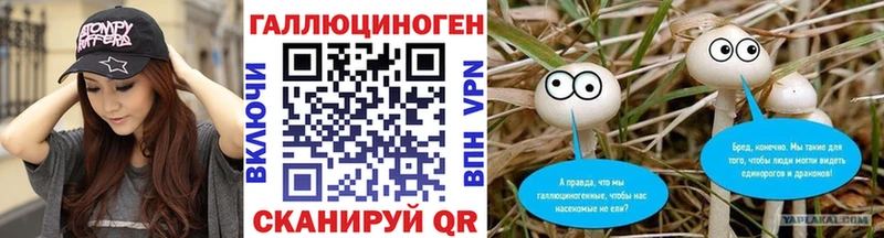 купить Искитим Псилоцибиновые грибы прущие грибы